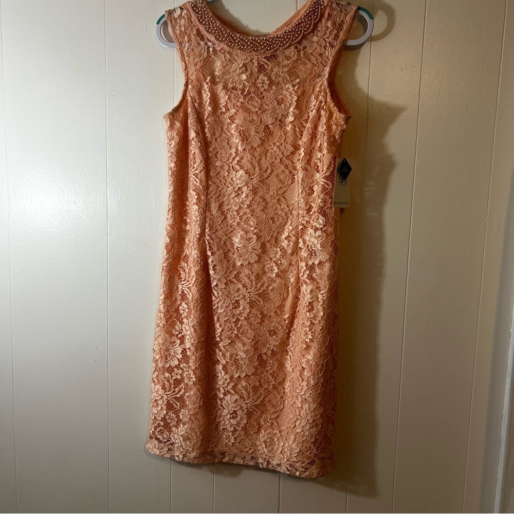 Elegant Lace Sleeveless Dress by SD Collection Size 10